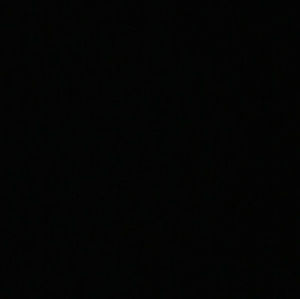 Meet your Posher, Sophia